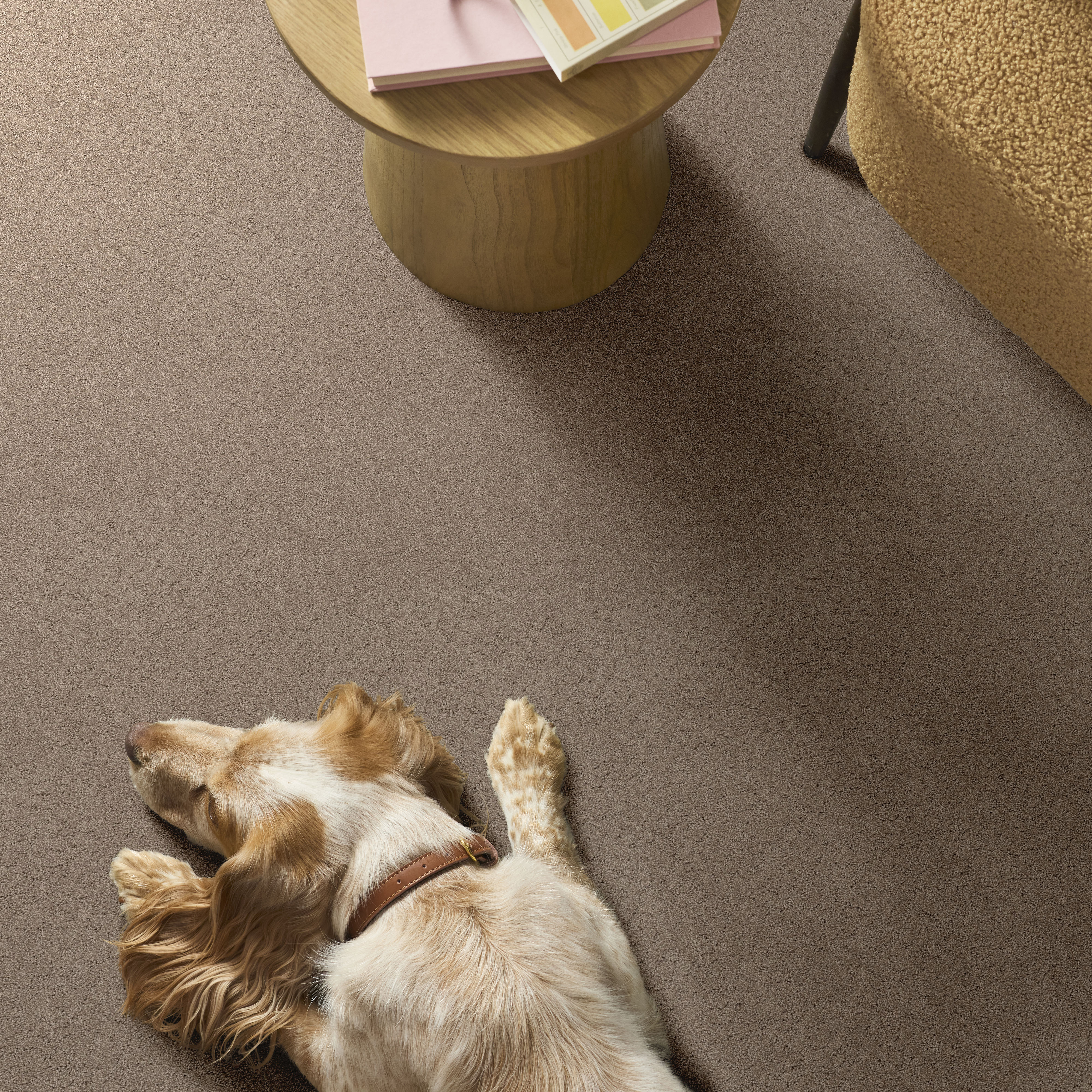 Secret Adventure - Stonecrest Carpet | Shaw Floors